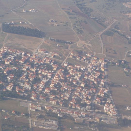 Lakkia