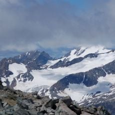 Nördliches Malhamkees