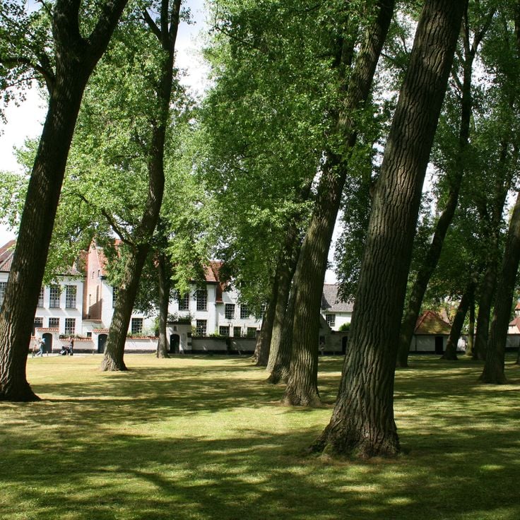 Князівський беґінський двір Ten Wijngaarde