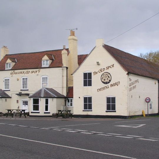 The Gloucester Old Spot
