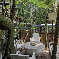 Monkey Cup Garden