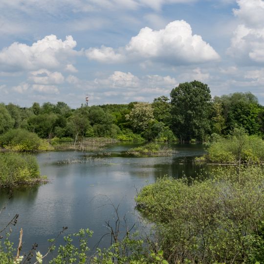 Naturschutzgebiet Oberlücke von Viernheim