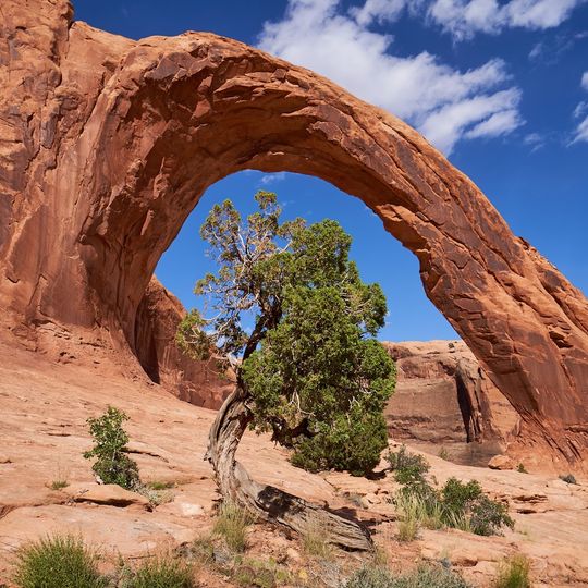 Corona Arch