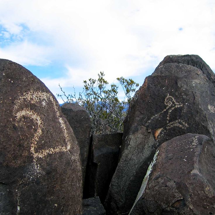 Three Rivers Petroglyph Site