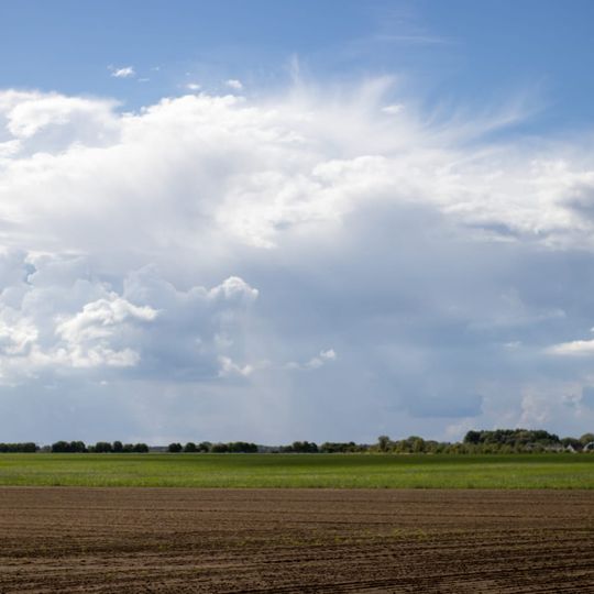 Rotberg