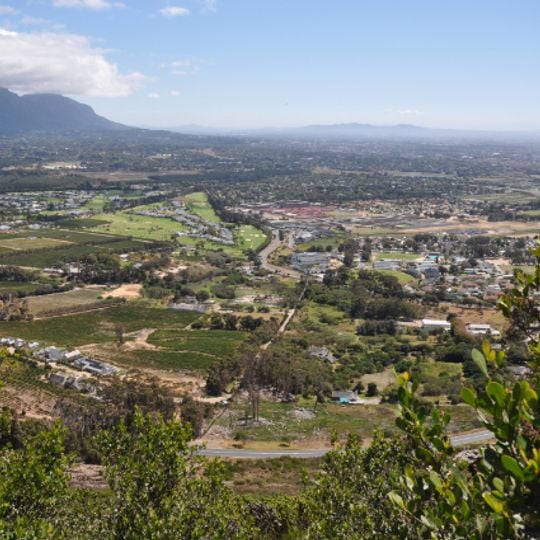 Constantia