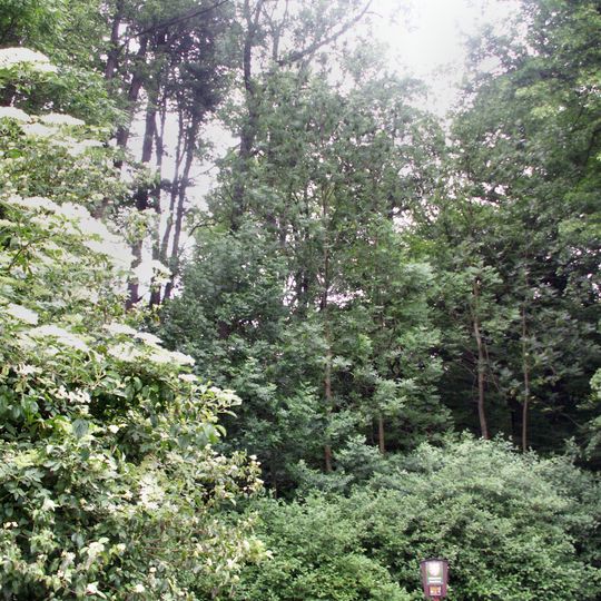 Letohradská bažantnice