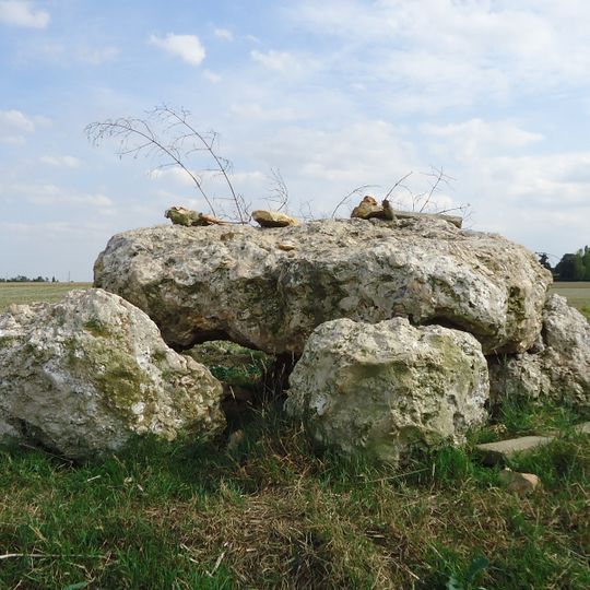 Dolmen de l'Hôtel-Dieu