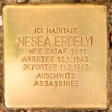 Nesea Erdelyi née Cataf