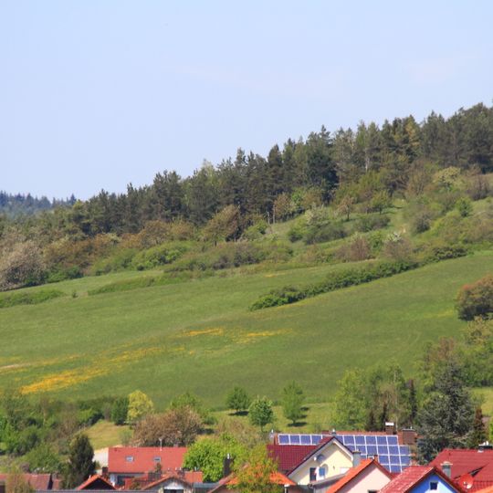Halbtrockenrasen Geinhartshöhe Geinhartsberg