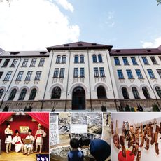 Buzau County Museum