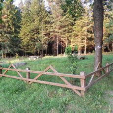 Nature reserve Zarośle