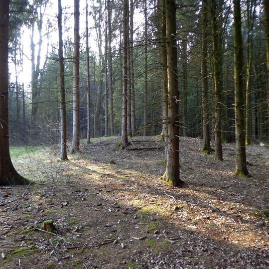 Hügelgräber im Lindetwald