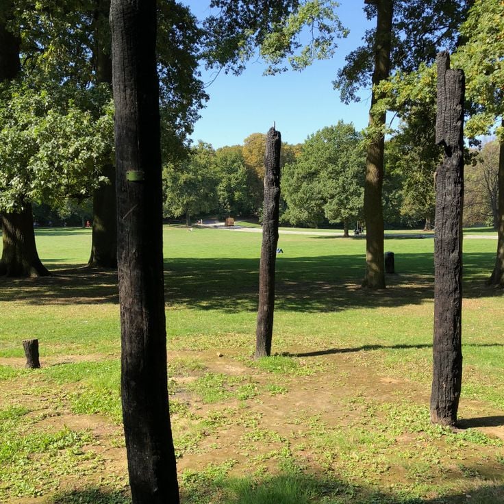 Bois de la Cambre