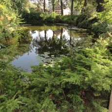 Buitengrachtse oever