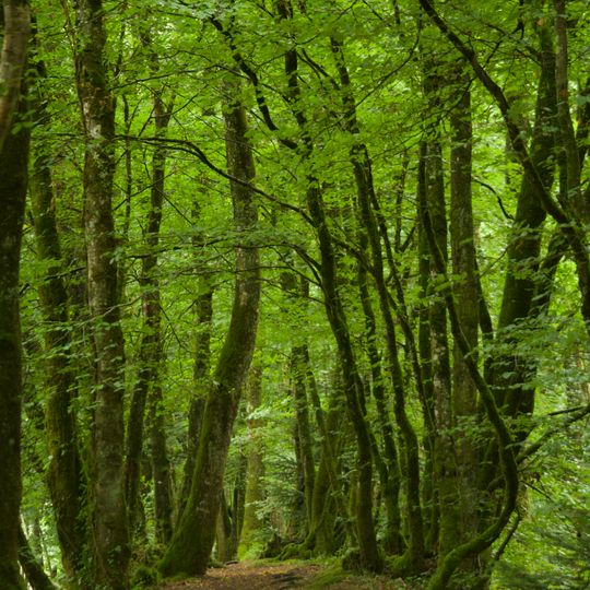 Landes, Prairies Et Étangs De Plounérin