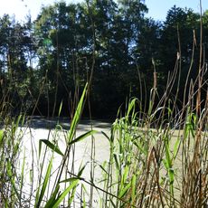 Teich auf dem Konnenberg