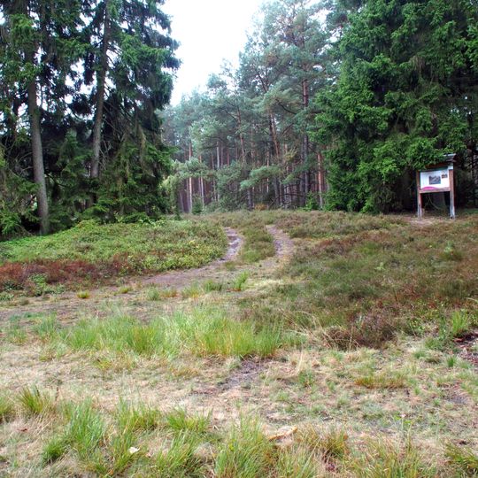 Reitergrab von Hankenbostel
