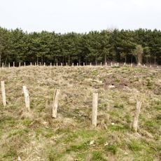 Terrein waarin grafheuvel #525030