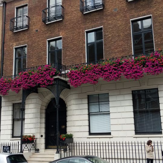 56, Queen Anne Street W1