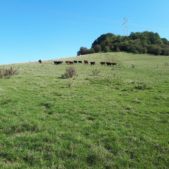 Motte castrale de Chaillon