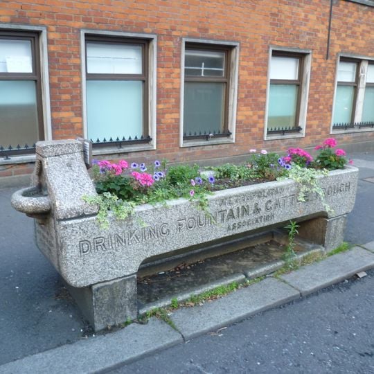 Cattle Trough