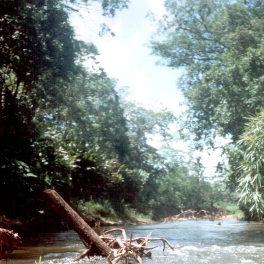 Riserva della biosfera del Río Plátano