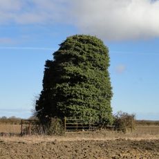 Church of St Remigius