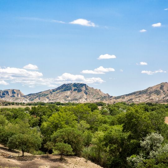 Chachuna Managed Reserve