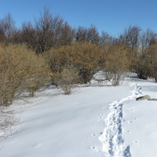 Monte Spinarda - Rio Nero
