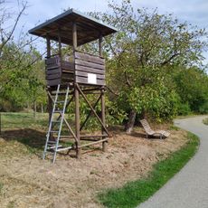 Aussichtspunkt Gehrn