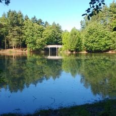 Wandelbos