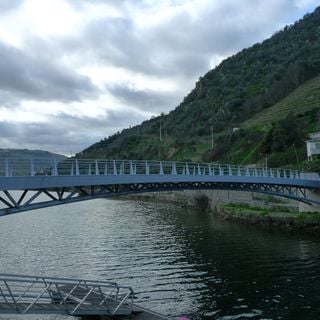 Ponte pedonal do Pinhão