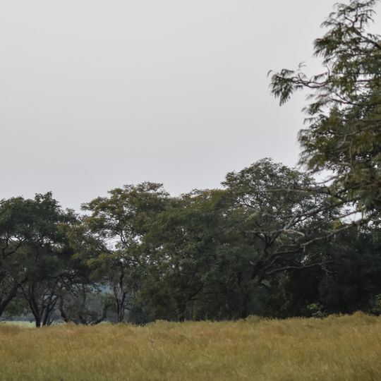 Park Narodowy Górnego Nigru