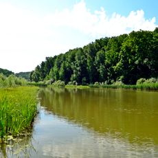 Borove Lake