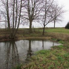 Kříž u rybníčku v Kocourových Lhotkách