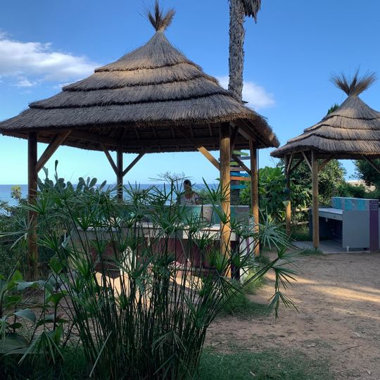 Calamar