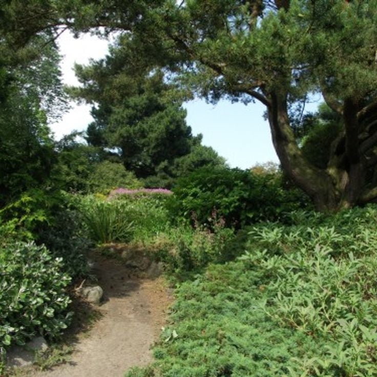 Jardin Botanique d'Aberdeen