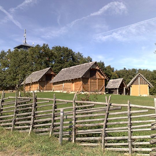 Keltendorf Schwarzenbach