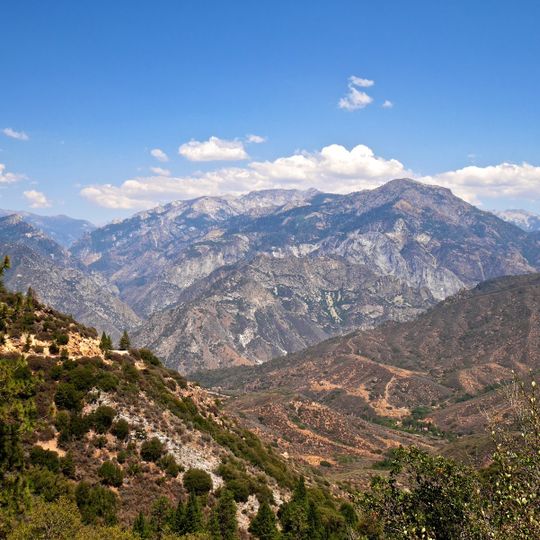 Monarch Wilderness