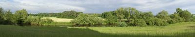 Panoramic View 0