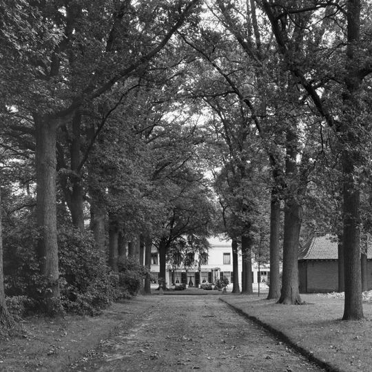 Wallsteyn: parkaanleg