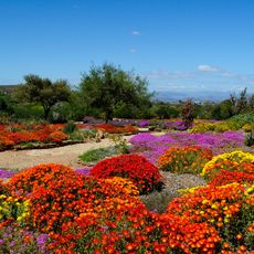 Karoo Desert National Botanical Garden