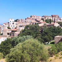 Pigna