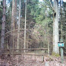 Nature reserve Lipiny w Puszczy Białowieskiej