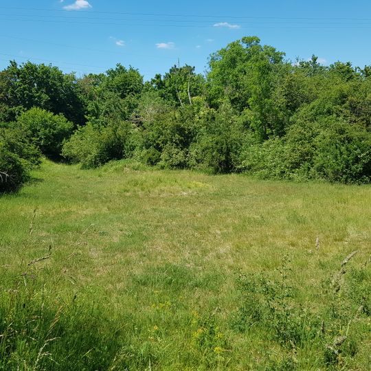 Ehemalige Mergelgrube im Gewann Bangert