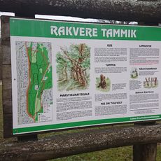Rakvere Oak-forest Nature Park