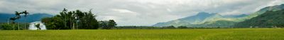 Panoramic View 1