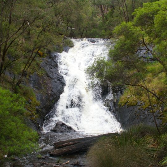 Greater Beedelup National Park