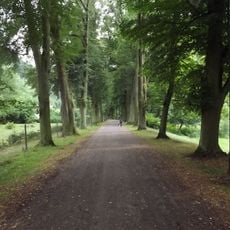 Lipová alej v Potštejně